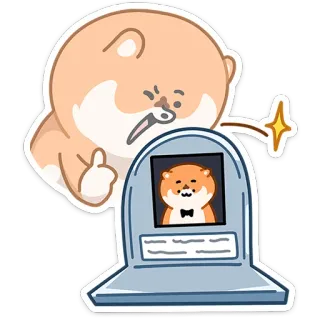 👍 만화, 햄스터, 묘비, 일러스트, 귀여운, 애완동물 telegram sticker