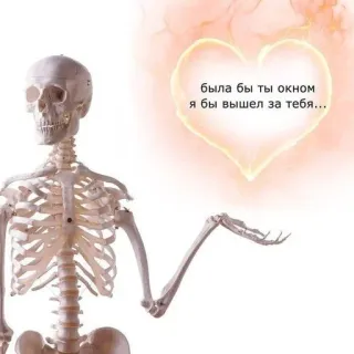 🧺 была бы ты окном я бы вышел за тебя... szkielet, serce, miłość, okno, kości telegram sticker