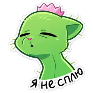 😴 Я не сплю chat, cactus, autocollant, mignon, endormi, russe telegram sticker