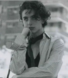 🦇 Timothée Chalamet actor, famoso, retrato, hombre telegram sticker