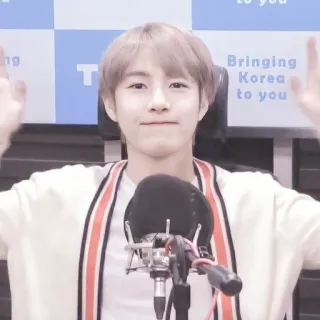 🦩 Bringing Korea to you coreia, rádio, transmissão, estúdio telegram sticker