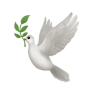 🕊️ whatsapp sticker