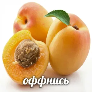 🤫 оффнись 살구, 과일, 음식, 여름, 러시아의 telegram sticker