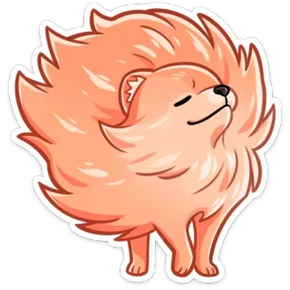 ☺️ chó, Pomeranian, xù, dễ thương, động vật, thú cưng telegram sticker