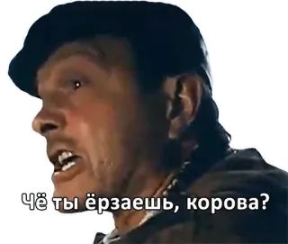 😡 Чё ты ёрзаешь, корова? whatsapp sticker