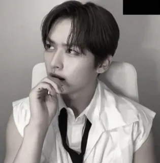 🤔 man, person, sleeveless shirt, black and white, portrait, tie telegram sticker