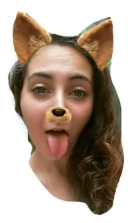 😝 Gesichtsfilter, Hundefilter, Selfie, Frau, Hundeohren telegram sticker