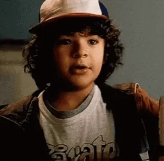 😊 Dustin Henderson Stranger Things Dustin Henderson, Stranger Things, Karakter, Aktor, Gaten Matarazzo whatsapp sticker