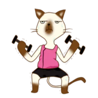 🏃‍♀ gatto, esercizio, fitness, manubrio, allenamento, divertente, animale, cartone animato whatsapp sticker