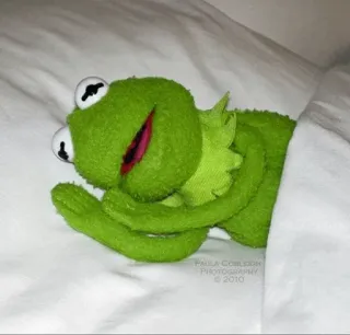 😴 Kermit PAULA COBILDDIK
PHOTOGRAPHY
© 2010 Kermit the Frog, Muppet, sleeping, bed, cozy, cute, relaxed telegram sticker