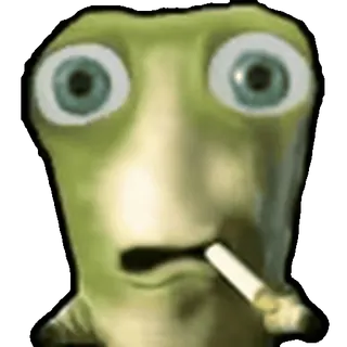 😨