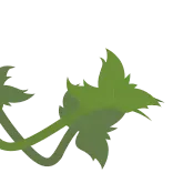 🌿