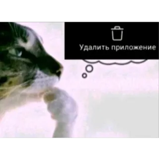 🤔 Удалить приложение кот, думающий, приложение, удалить, удалить telegram sticker