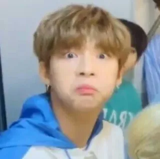 👤 cara engraçada, Meme, bobo, expressão, retrato whatsapp sticker
