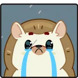 😭