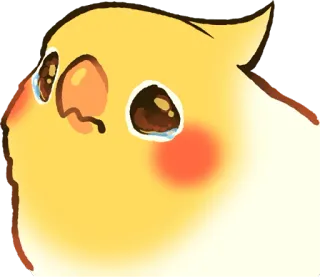 😢 鳥, オカメインコ, 悲しい, 泣く, かわいい, 動物, ペット telegram sticker