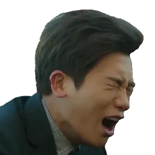 😫 urlante, uomo, emozione, stressato, frustrato, arrabbiato telegram sticker