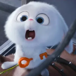 🐾 Snowball The Secret Life of Pets coniglio, carino, animale, cartone animato whatsapp sticker