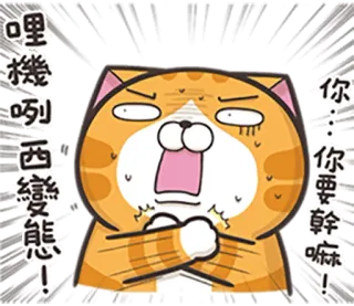 😨 哩機咧西勒能! кот, злой, раздраженный, разочарованный, Мем, выражение telegram sticker