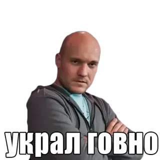 🦝 украл говно telegram sticker