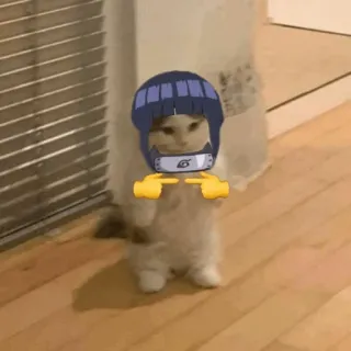 🐈 Hinata Hyuga Naruto gato, Hinata, anime, Naruto, engraçado, mangá, piada telegram sticker
