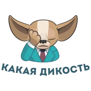 😑 какая дикость cachorro, chihuahua, nojo, vergonha, aborrecimento whatsapp sticker