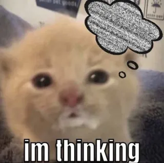 🤔 im thinking telegram sticker