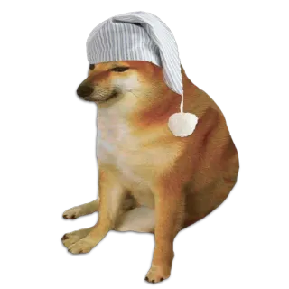 😪 Cheems doge, 犬, cheems, 眠い, 睡眠, かわいい telegram sticker