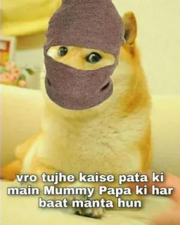 🌟 Doge Internet Meme vro tujhe kaise pata ki main Mummy Papa ki har baat manta hun doge, meme, funny, balaclava, mask, shiba inu, humor telegram sticker
