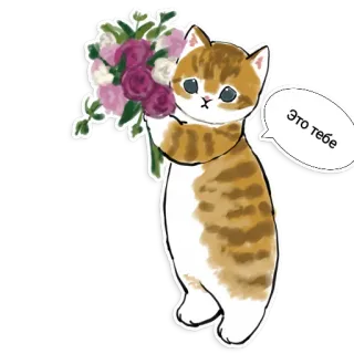 😉 Это тебе Katze, Blumen, Strauß, Geschenk, Kätzchen telegram sticker