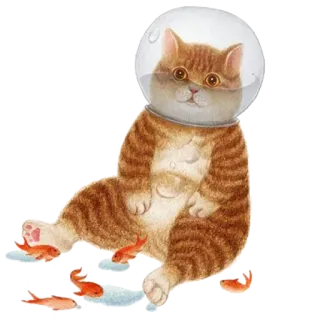 🙃 고양이, 물고기, 동물, 애완동물, 우주, 헬멧, 주황색 고양이 telegram sticker