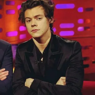 🌿 Harry Styles célébrité, chanteur, homme, portrait, harry styles telegram sticker