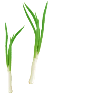 🌿 cebolleta, cebolla verde, verdura, comida telegram sticker