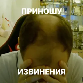 🙏 ПРИНОШУ ИЗВИНЕНИЯ excuse, triste, facepalm, regret telegram sticker