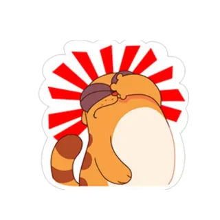 ❤ cat, sticker, orange, animal, cute, cartoon telegram sticker