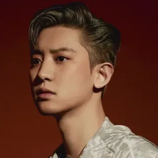 🐻 homme, masculin, personne, portrait, mode, kpop, cheveux telegram sticker