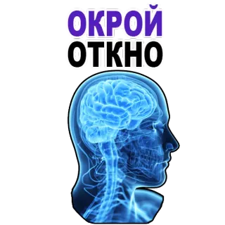 😉 ОКРОЙ ОТКНО brain, anatomy, human, medical, head, science telegram sticker