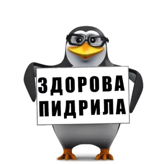 👋 ЗДОРОВА ПИДРИЛА пингвин, оскорбление, очки telegram sticker