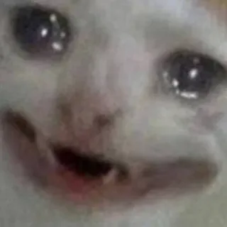 😄 kot, mem, smutny, płaczący, śmieszny telegram sticker