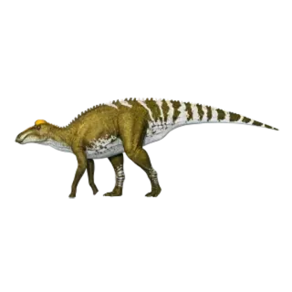 🦖 dinosauro, animale, preistorico, erbivoro, rettile telegram sticker