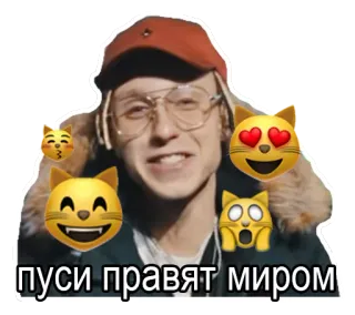 😻 пуси правят миром telegram sticker