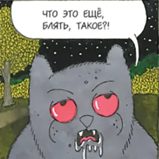 😡 ЧТО ЭТО ЕЩЁ, БЛЯТЬ, ТАКОЕ?! kucing, rusia, menyinggung, kartun, hewan, bljat whatsapp sticker