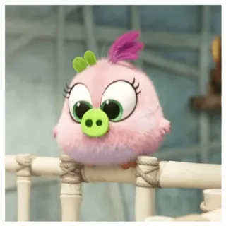 🐽 Zoe The Angry Birds Movie 2 птица, мультфильм, животное, зои, angry birds, милый telegram sticker