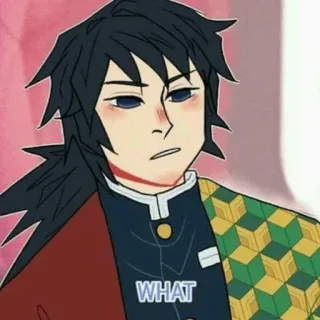 🤔 Giyu Tomioka Demon Slayer WHAT anime, manga, giyu tomioka, demon slayer, what, character telegram sticker