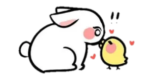 ▫️ conejo, pollito, lindo, amor, corazón, animal, dibujo animado whatsapp sticker