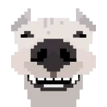 🦴