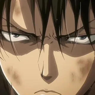 ⚔ Levi Ackerman Attack on Titan anime, attack on titan, levi ackerman, manga, tentara, serius, tekad telegram sticker