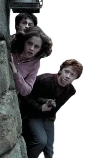 👀 Harry Potter ハリー・ポッター, ハーマイオニー・グレンジャー, ロン・ウィーズリー, 魔法, 魔法使い, 友情 telegram sticker