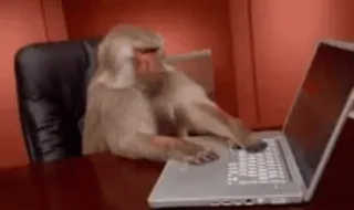 👍 monkey, computer, office, typing, animal whatsapp sticker