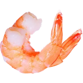 👄 shrimp, food, seafood whatsapp sticker
